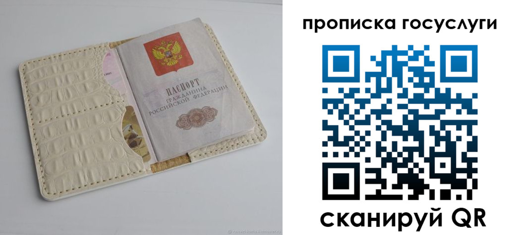прописка в Калтане
